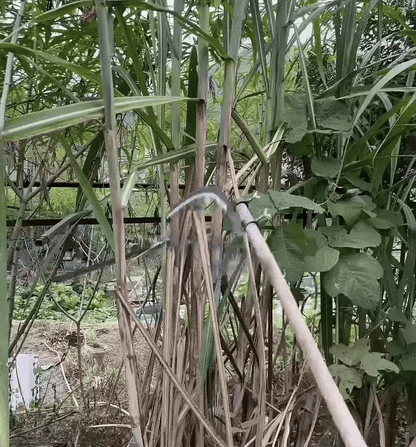 Portable Grass Sickle Cutter Head – Heavy Duty Brush & Weed Cutting Tool | Cash on Delivery Avai