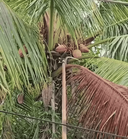 Portable Grass Sickle Cutter Head – Heavy Duty Brush & Weed Cutting Tool | Cash on Delivery Avai